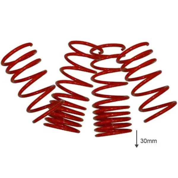 US-Racing Tieferlegungsfedern 30mm - LS-35173 Sonderaktion