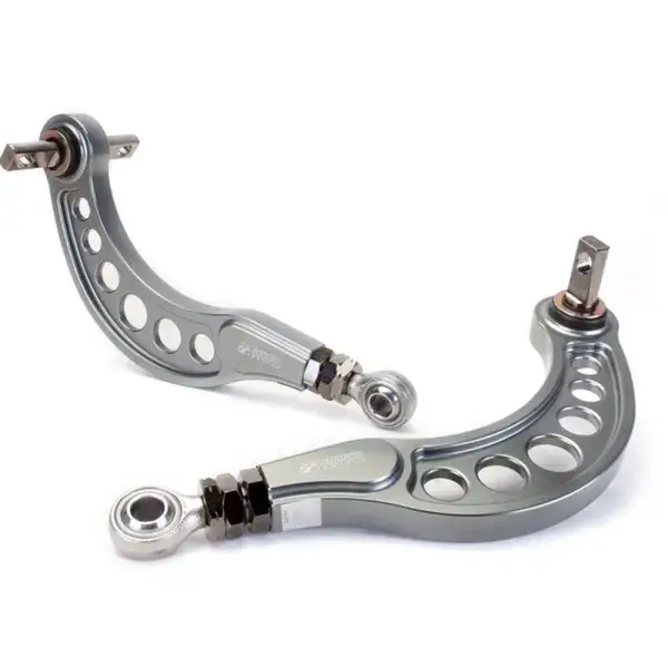 Finale Aktion Skunk2 Sturzversteller Satz Hinten - Titanium - SK2-516-05-0620