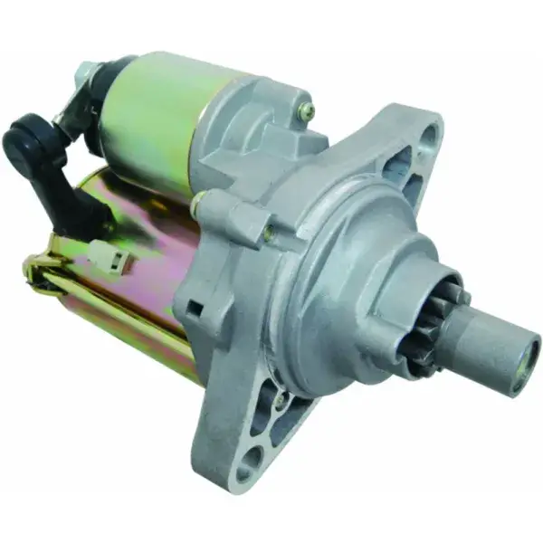 WAI Global Starter - 17771N Must-Have