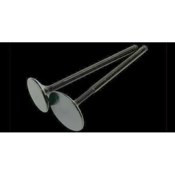 Neuheit Brian Crower Einlassventilsatz ES (Black Nitride) - (33mm / STD) - set/8 - BC3010B