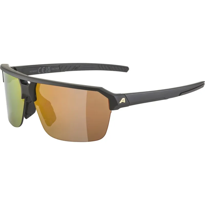 Aktuell Alpina Swift HR Brille - black-gold matt/mirror gold
