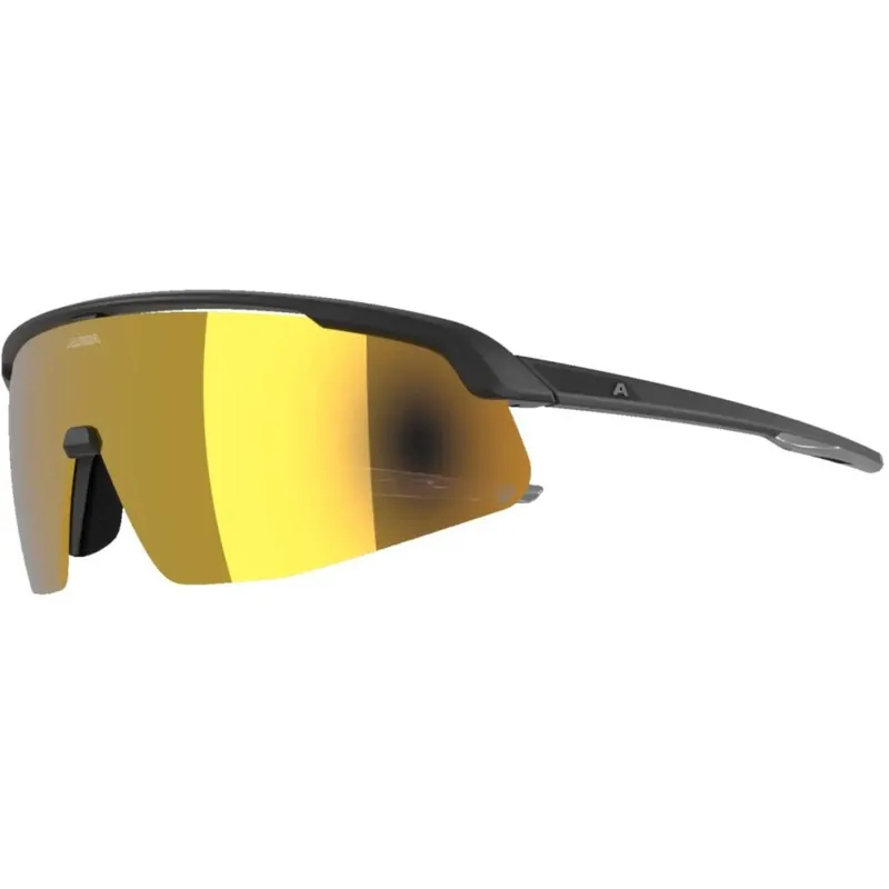 Alpina Turbo Pro Q Brille - black matt/gold mirror Mega-Angebot