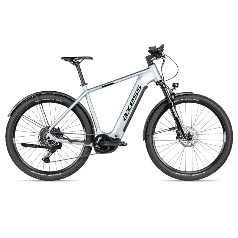 Axess Force Pro Allroad - 29" E-Mountainbike - 2025 - misty silver matt/black/sky Highlight