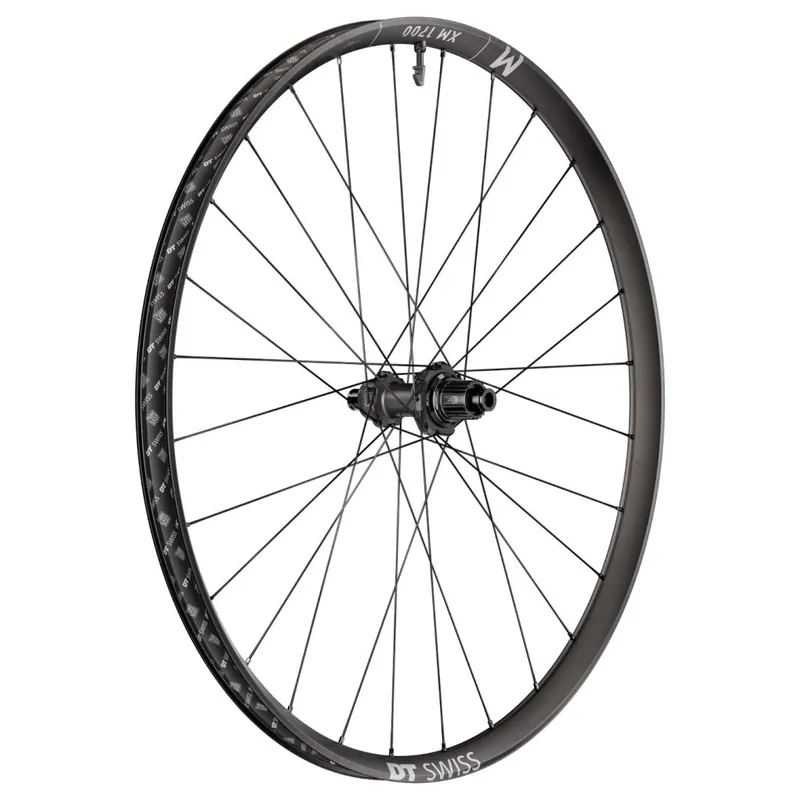 Nur Für Kurze Zeit DT Swiss XM 1700 SPLINE Evo Hinterrad - 29" Clincher Centerlock / 6-Loch - 12x148mm Boost - Micro Spline