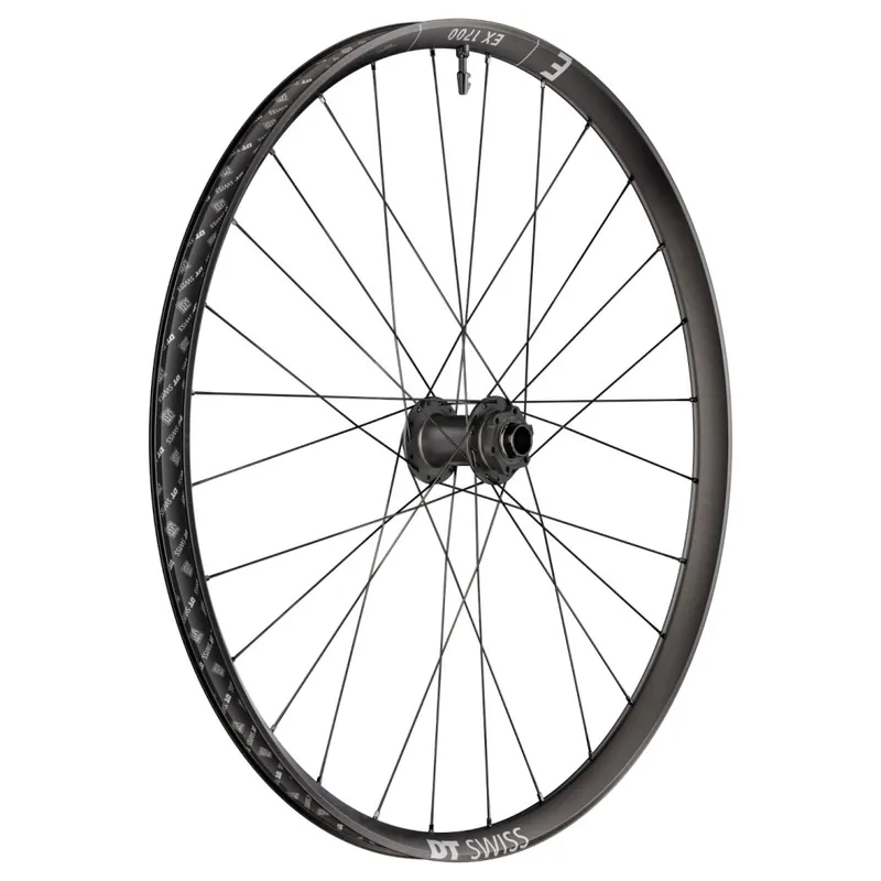 DT Swiss EX 1700 CLASSIC Vorderrad - 29" 6-Loch 20x110mm Boost Expressversand