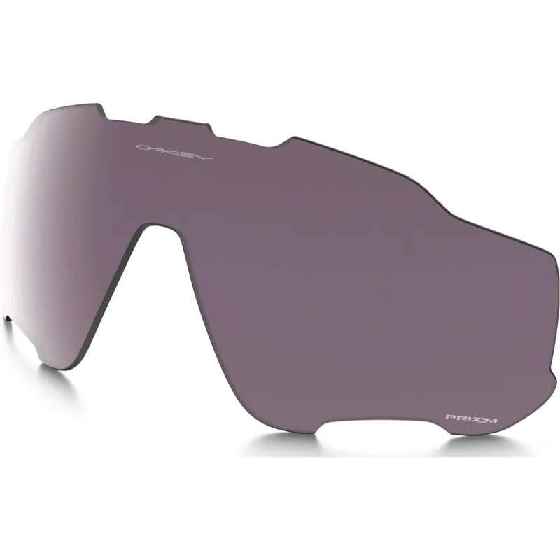 Sofort Bestellen Oakley Jawbreaker Brillenwechselglas - Prizm Daily Polarized 101-111-001