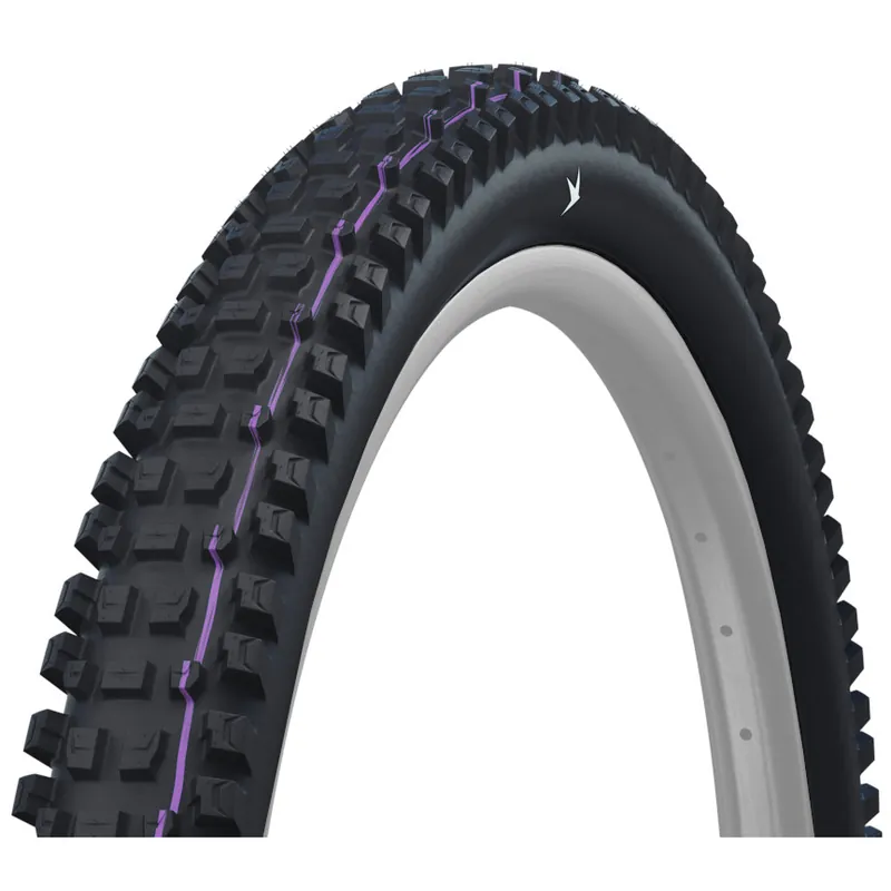 Schwalbe Albert Faltreifen - Evolution Addix Ultra Soft Gravity Pro Radial ECE-R75 - 29x2.50" Aktuell