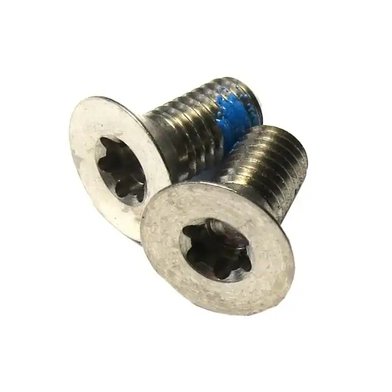SRAM T25 Titan Befestigungsschrauben für Flat Mount Bremssattel - 2 Stück Sonderaktion