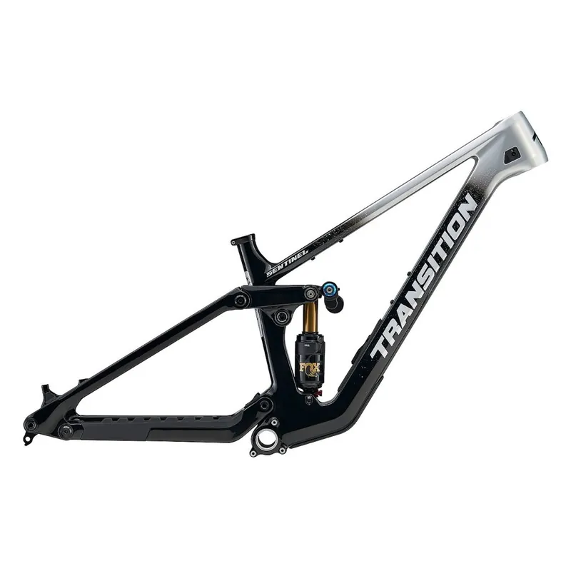 Transition SENTINEL - Carbon Rahmenset - 2026 - silver mist Ausverkauf