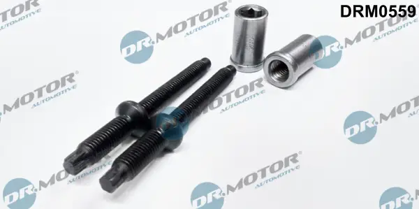 Billig Dr.Motor Automotive DRM0559 - Schraube, Einspritzdüsenhalter