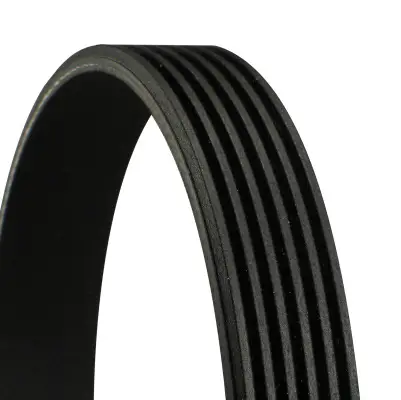 CONTINENTAL CTAM 6PK2215 - Keilrippenriemen Jetzt Bestellen