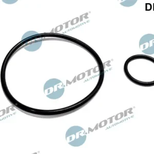Garantierte Lieferung Dr.Motor Automotive DRM049 - Dichtungssatz, Unterdruckpumpe
