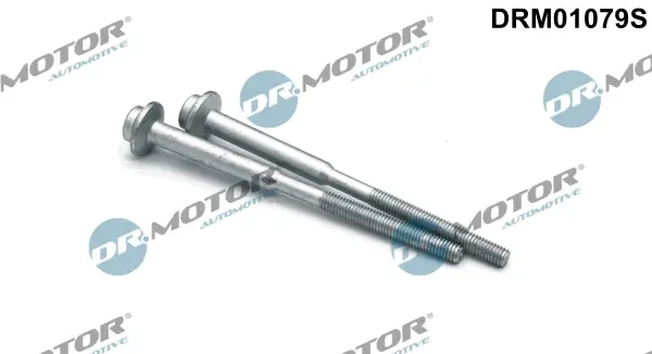 Dr.Motor Automotive DRM01079S - Schraube, Einspritzdüsenhalter Sonderaktion