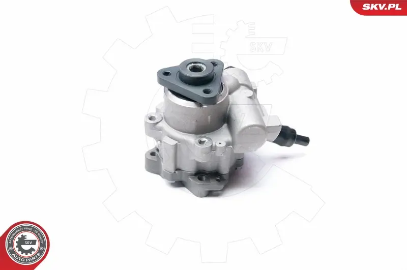ESEN SKV 10SKV233 - Hydraulikpumpe, Lenkung Preis Gesenkt