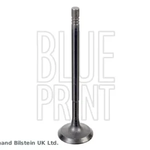 BLUE PRINT ADBP610041 - Einlassventil Aktuell