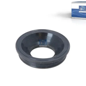 DT Spare Parts 11.10544 - Dichtring, Kerzenschacht Echt