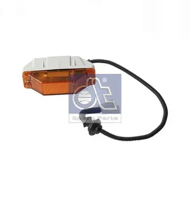 DT Spare Parts 5.81148 - Blinkleuchte Kracherpreis
