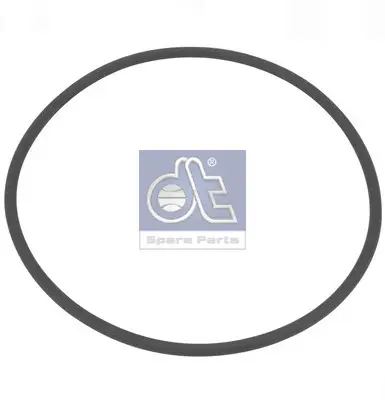 Sichere Zahlung DT Spare Parts 6.89204 - Dichtring