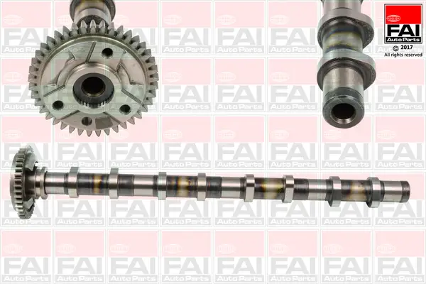 FAI AutoParts C381 - Nockenwelle Must-Have