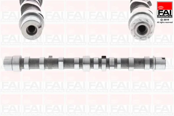 FAI AutoParts C406 - Nockenwelle Billig