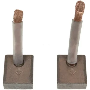 Bestpreis AS-PL SB0021P - Kohlebürste, Starter