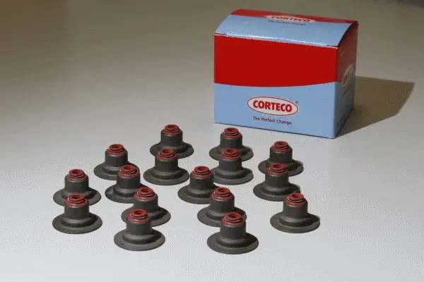 Neue Kollektion CORTECO 19036766 - Dichtungssatz, Ventilschaft