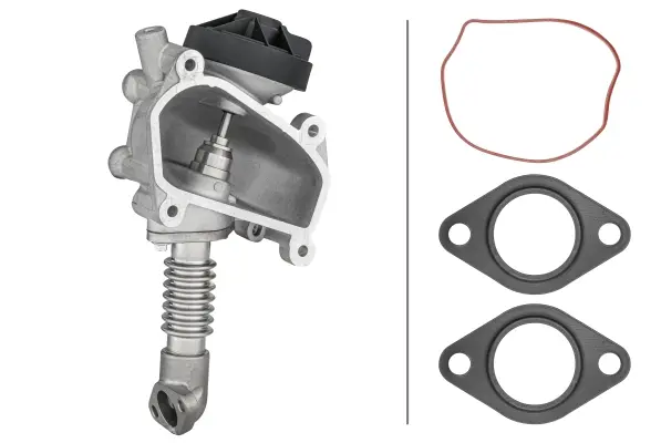 HELLA 6NU 014 864-641 - AGR-Ventil Mega-Angebot