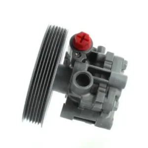 SPIDAN 54793 - Hydraulikpumpe, Lenkung Ausverkauf
