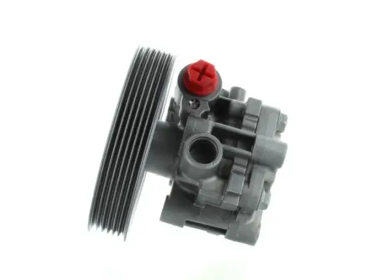 SPIDAN 54793 - Hydraulikpumpe, Lenkung Ausverkauf