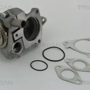 TRISCAN 8813 28019 - AGR-Ventil Neu Im Sortiment