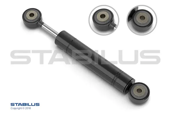 STABILUS 8269CW - Schwingungsdämpfer, Keilrippenriemen - // STAB-O-SHOC Highlight