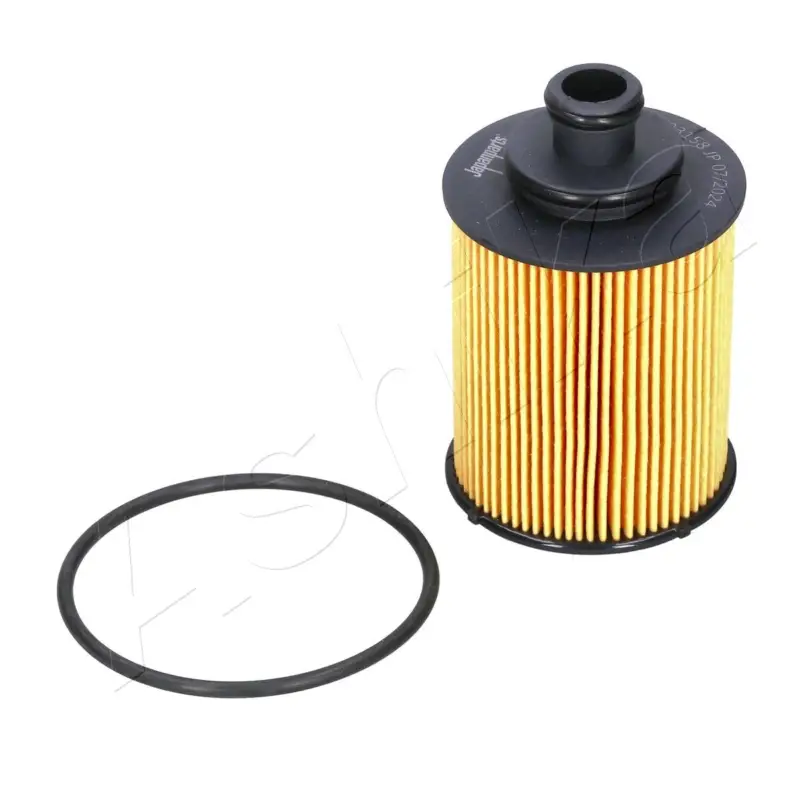ASHIKA 10-ECO065 - Ölfilter Sofort Bestellen