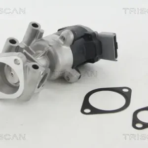 Wochenendangebot TRISCAN 8813 10009 - AGR-Ventil