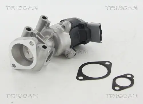 Wochenendangebot TRISCAN 8813 10009 - AGR-Ventil