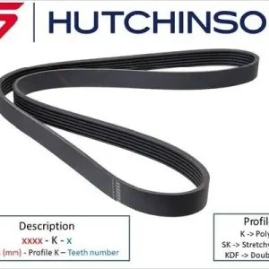 HUTCHINSON 2060 K 10TK - Keilrippenriemen - Poly-V Preisreduziert