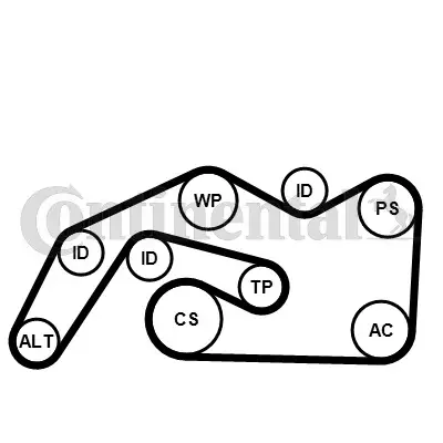 Aktuell CONTINENTAL CTAM 6PK2490K1 - Keilrippenriemensatz