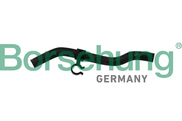 Echt Borsehung B11975 - Kühlmittelrohrleitung