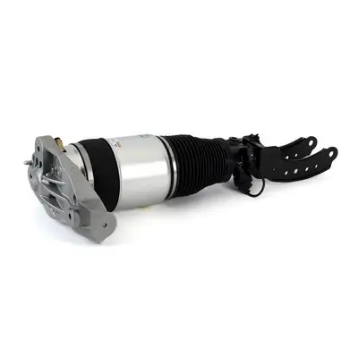 Arnott AS-3164 - Luftfederbein - Original Arnott Product Meistverkauft