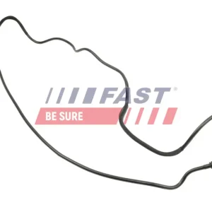 FAST FT10720 - Kraftstoffleitung Expressversand