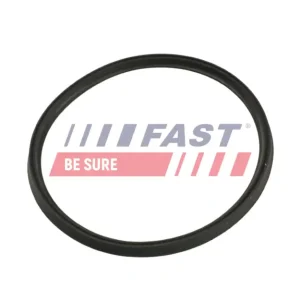 FAST FT48965 - Dichtring, Ladeluftschlauch Online Kaufen