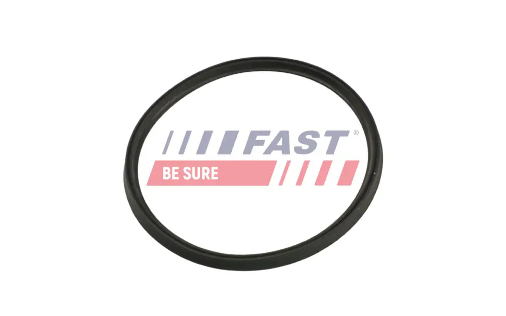 FAST FT48965 - Dichtring, Ladeluftschlauch Online Kaufen