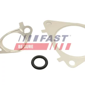 Versand Am Gleichen Tag FAST FT50617 - Dichtungssatz, AGR-System