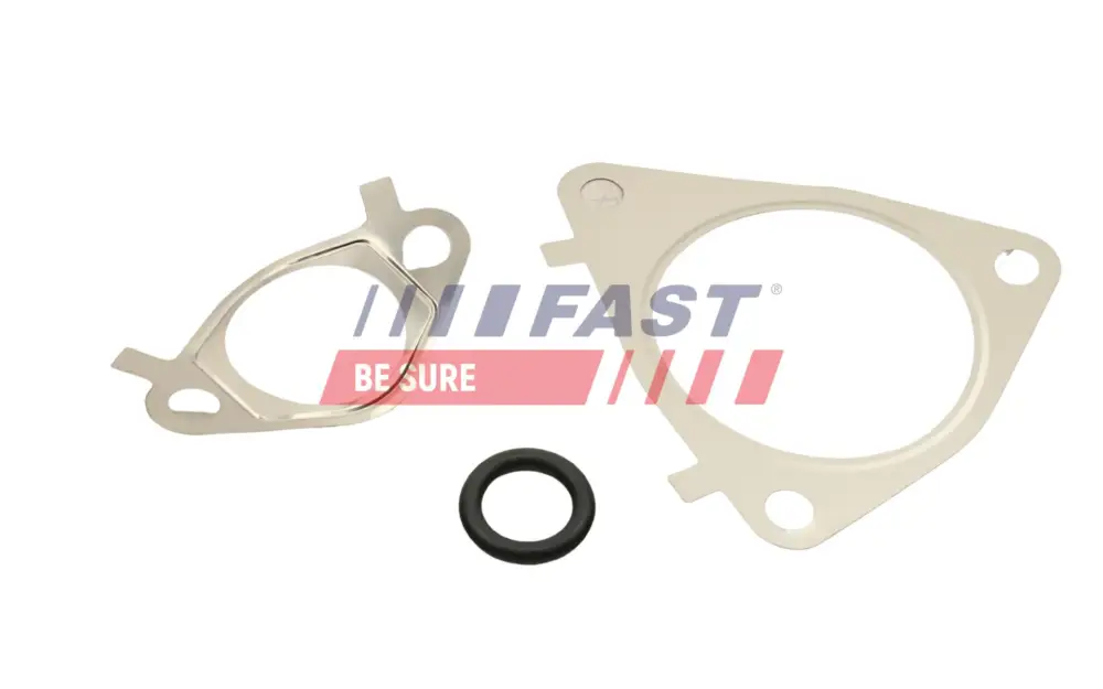 Versand Am Gleichen Tag FAST FT50617 - Dichtungssatz, AGR-System