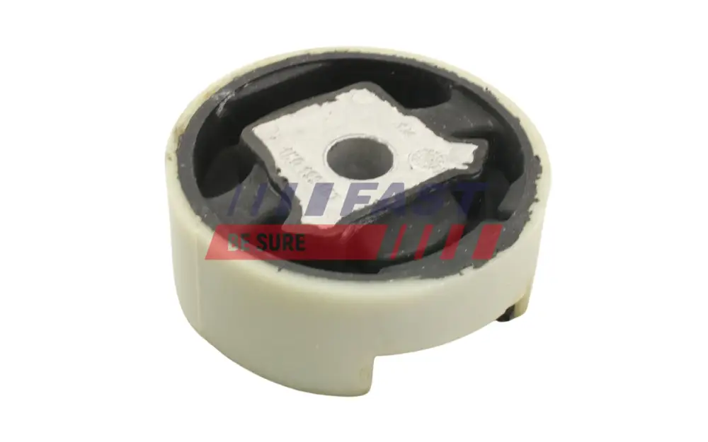 Expressversand FAST FT52045 - Lagerung, Motor