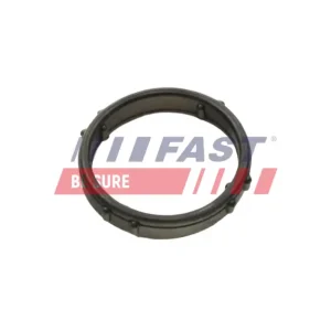 Garantierte Lieferung FAST FT57406 - Dichtung, Wasserpumpe