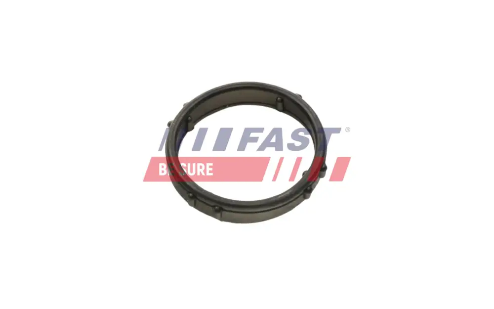 Garantierte Lieferung FAST FT57406 - Dichtung, Wasserpumpe
