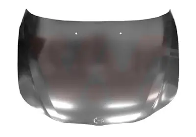 Meistverkauft VAN WEZEL 0655670 - Motorhaube