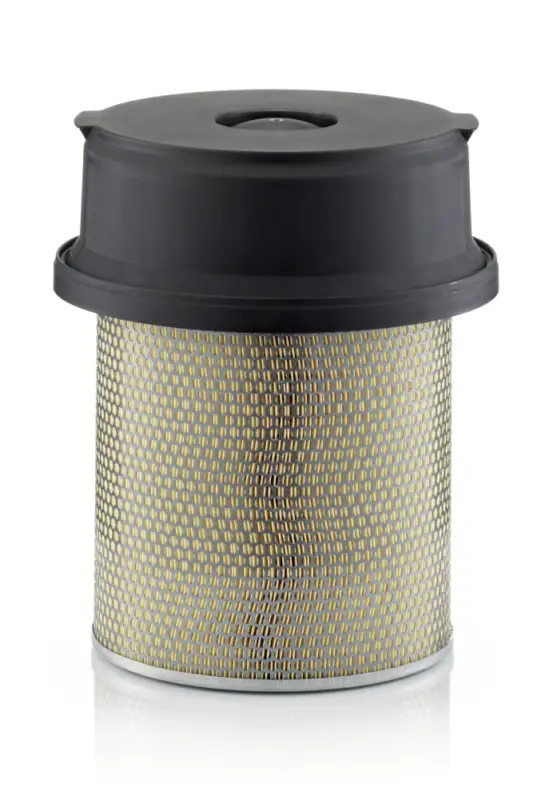 MANN-FILTER C 29 1219/1 - Luftfilter Preiswert