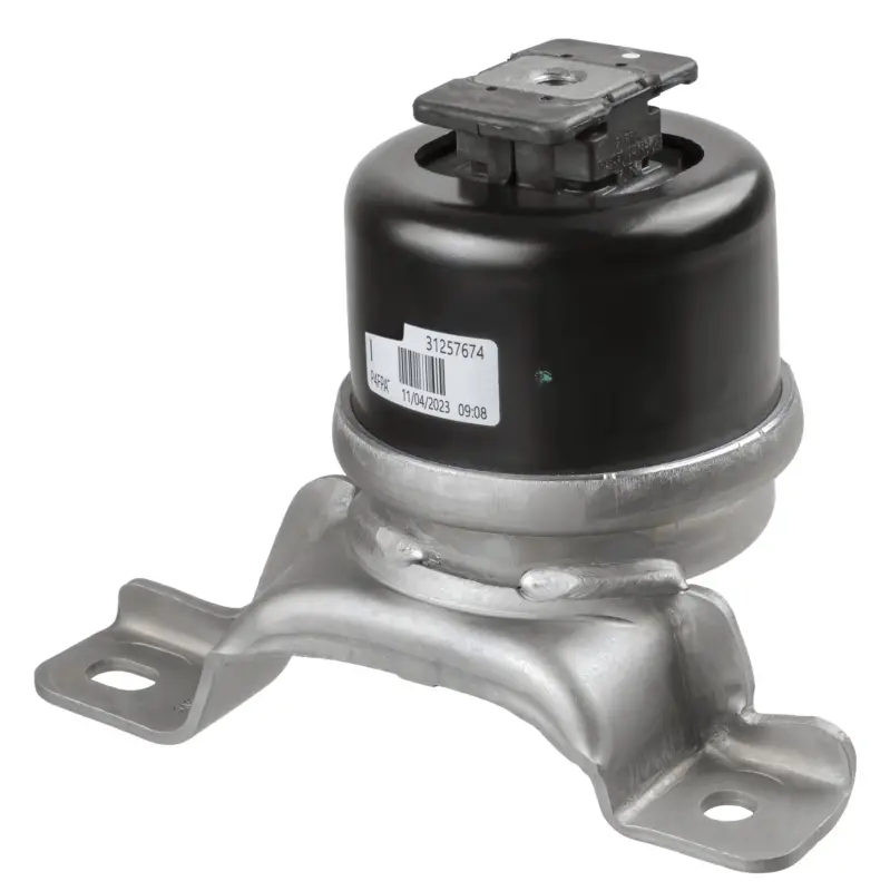 Letzte Chance LEMFÖRDER 43612 01 - Lagerung, Motor
