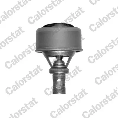 Bestpreis CALORSTAT by Vernet TH4495.75 - Thermostat, Kühlmittel